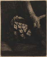 KG 18048
          <br/>
          Denneappel
          <br/>
          <em>Nachenius, Jan Coenraad (1890-1987)</em>